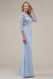 Blush Velvet Sheath Bateau Neck Appliqued Long Mother Of the Bride Dress with 3D Flowers