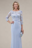 Blush Velvet Sheath Bateau Neck Appliqued Long Mother Of the Bride Dress with 3D Flowers