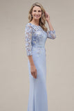 Blush Velvet Sheath Bateau Neck Appliqued Long Mother Of the Bride Dress with 3D Flowers