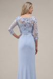Blush Velvet Sheath Bateau Neck Appliqued Long Mother Of the Bride Dress with 3D Flowers