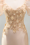 Blush Mermaid Corset Satin Long Prom Dress with 3D Flowers