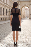 Black V-Neck Lace Short Sleeve Sheath Work Dress