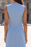 Blue V Neck Double Breasted Mini Work Dress