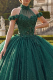 Dark Green Halter Neck Ball Gown Appliqued Glitter Quinceanera Dress