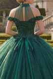Dark Green Halter Neck Ball Gown Appliqued Glitter Quinceanera Dress