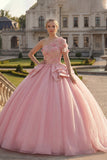 Ball Gown Pink One Shoulder Appliqued Quinceanera Dress