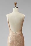 Sparkly Champagne Ruched Beaded Sequin Mermaid V-Neck Long Pageant Dress