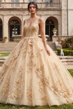 Champagne Ball Gown V Neck Appliqued Quinceanera Dress