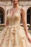 Champagne Ball Gown V Neck Appliqued Quinceanera Dress