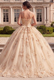 Ball Gown Corset Champagne Quinceanera Dress with 3D Flowers