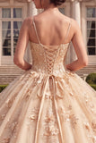 Ball Gown Corset Champagne Quinceanera Dress with 3D Flowers
