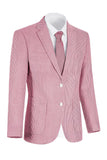 Notch Lapel Light Blue Single Breasted Men's Jacket