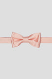 Aqua Men's Party Bow Ties