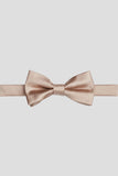 Aqua Men's Party Bow Ties