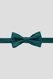 Aqua Men's Party Bow Ties