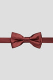Aqua Men's Party Bow Ties