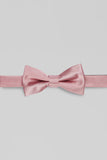 Aqua Men's Party Bow Ties
