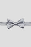 Aqua Men's Party Bow Ties