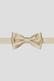 Aqua Men's Party Bow Ties