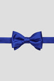 Aqua Men's Party Bow Ties