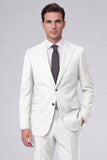 Dark Navy 2 Piece Peak Lapel One Button Men's Prom Suits