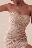 Sparkly Strapless Navy Bodycon Short Sequin Homecoming Dress