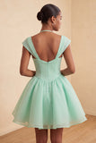 Mint Green A-Line Single Breasted Short Homecoming Dress with Cap Sleeves