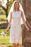 Ivory Sheath Lace Boat Neck Floral Midi Bridal Shower Dress