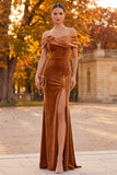 Brown Mermaid Floral Off the Shoulder Long Velvet Holiday Party Dress with Slit