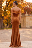 Brown Mermaid Floral Off the Shoulder Long Velvet Holiday Party Dress with Slit