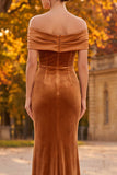 Brown Mermaid Floral Off the Shoulder Long Velvet Holiday Party Dress with Slit