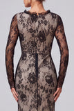 Black Floral Mermaid Lace Long Formal Dress