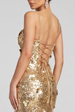 Sparkly Golden Mermaid Sequins Floral Long Evening Dress with Slit