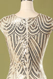 Gatsby Gold Glitter Fringe Roaring 1920s Dress