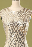 Gatsby Gold Glitter Fringe Roaring 1920s Dress
