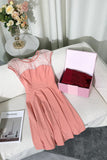 Lace Dress Mystery Box - Multi-Pack Savings - Buy More, Save More