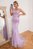 Light Purple Mermaid Long Formal Dress with Appliques