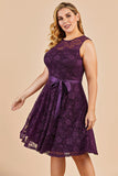 Grape Short Plus Size Lace Dress