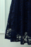 Navy Lace Midi Dress