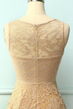 Asymmetrical Champagne Lace Dress