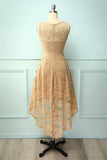 Asymmetrical Champagne Lace Dress