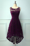 Asymmetrical Grape Lace Dress