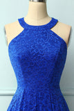 Royal Blue Halter Lace Midi