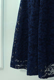 Navy Midi Lace Dress