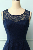 Navy Flower Lace Dress