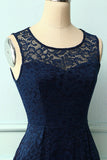 Navy Midi Lace Dress