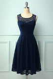 Navy Midi Lace Dress