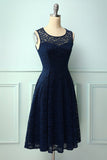 Navy Midi Lace Dress