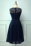 Navy Midi Lace Dress