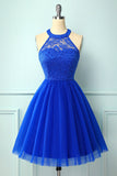 Halter Royal Blue Lace Dress